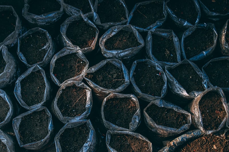 Enchanter's Soil Spells