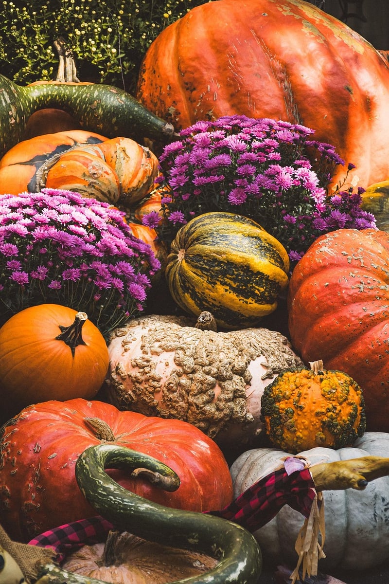 Moonbeam Harvest